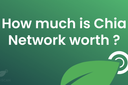 How-much-is-Chia-Network-worth