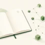 A Careful Introduction to Chialisp